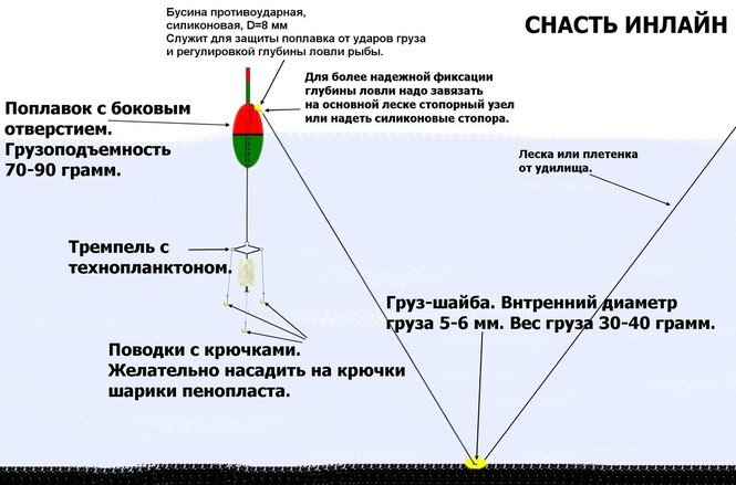 Схема монтажа на толстолобика