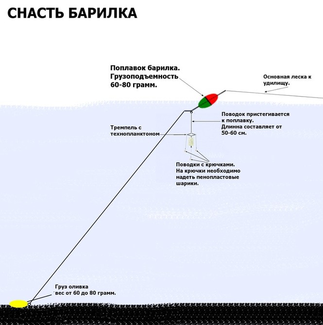 Снасть на толстолобика фото